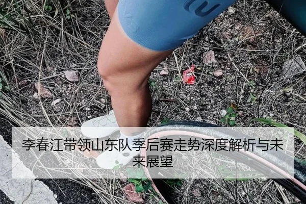 李春江带领山东队季后赛走势深度解析与未来展望