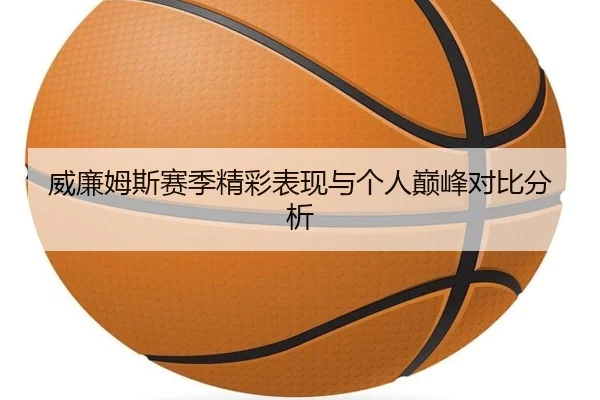 威廉姆斯赛季精彩表现与个人巅峰对比分析